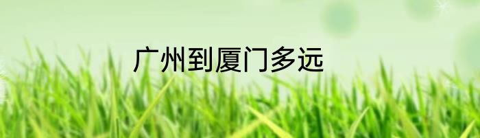 广州到厦门多远
