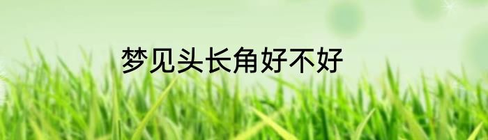梦见头长角好不好