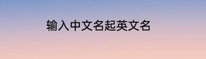 输入中文名起英文名
