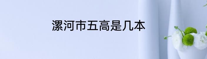 漯河市五高是几本
