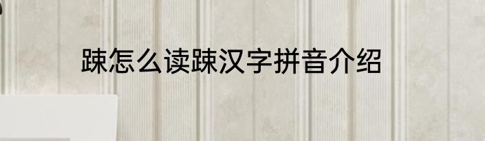 踈怎么读踈汉字拼音介绍