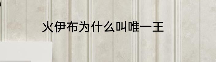 火伊布为什么叫唯一王