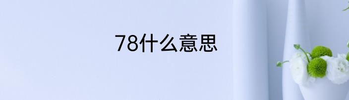 78什么意思