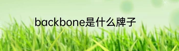 backbone是什么牌子