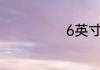 6英寸是多少cm