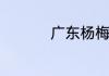 广东杨梅什么时候成熟