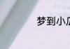 梦到小瓜苗是啥预兆