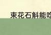 束花石斛能吃吗怎么吃束花石斛