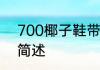 700椰子鞋带系法700椰子鞋带系法简述