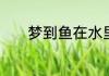 梦到鱼在水里跳跃是什么征兆