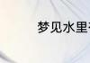 梦见水里有蛇是什么意思