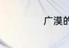 广漠的单词是什么