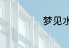 梦见水手什么意思
