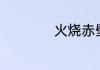 火烧赤壁打一词牌名