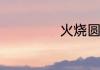 火烧圆明园观后感