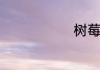 树莓如何清洗