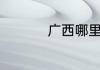 广西哪里的西瓜最出名