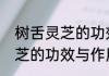 树舌灵芝的功效与作用及禁忌树舌灵芝的功效与作用和禁忌
