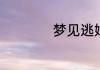 梦见逃婚预示着什么