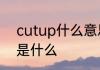 cutup什么意思中文cutup中文意思是什么