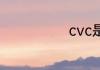 cvc是哪种面料