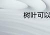 树叶可以做成什么东西
