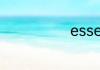 essex三角钢琴