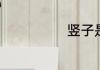 竖子是什么意思