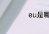 eu是哪个航空公司