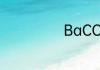 BaCO3是沉淀吗