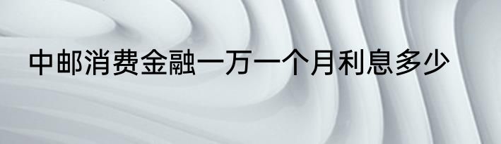 中邮消费金融一万一个月利息多少