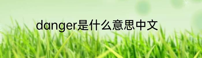 danger是什么意思中文