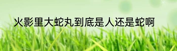 火影里大蛇丸到底是人还是蛇啊