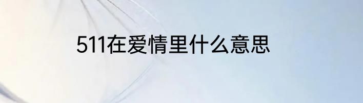 511在爱情里什么意思