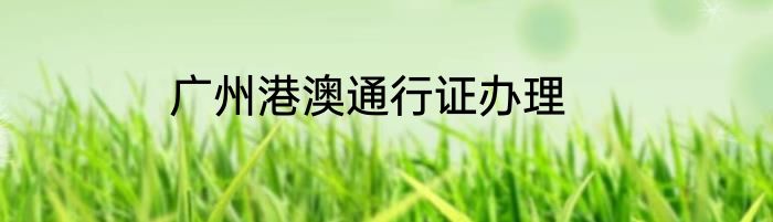 广州港澳通行证办理