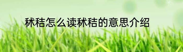 秫秸怎么读秫秸的意思介绍