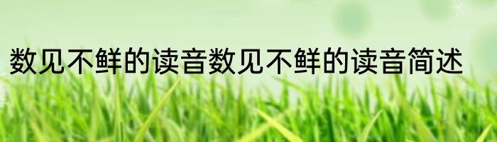 数见不鲜的读音数见不鲜的读音简述