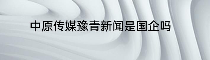 中原传媒豫青新闻是国企吗