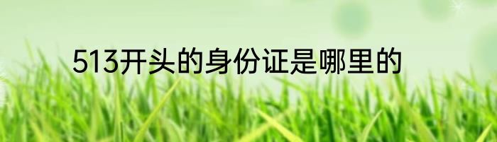 513开头的身份证是哪里的