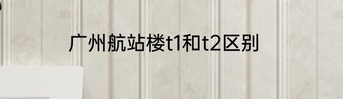 广州航站楼t1和t2区别
