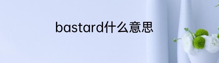 bastard什么意思