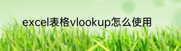 excel表格vlookup怎么使用
