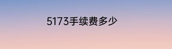 5173手续费多少