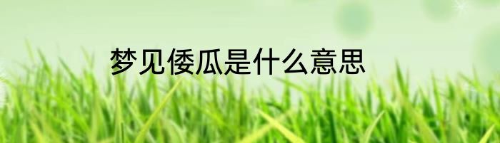 梦见倭瓜是什么意思
