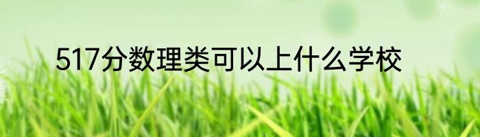 517分数理类可以上什么学校