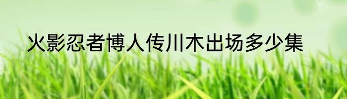 火影忍者博人传川木出场多少集