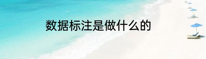 数据标注是做什么的
