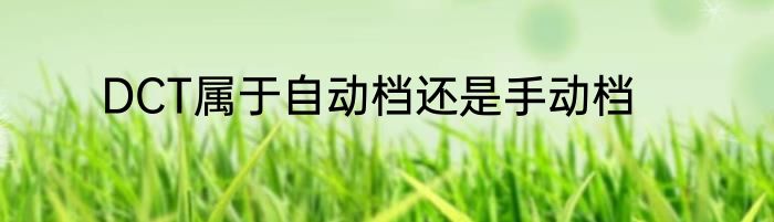 DCT属于自动档还是手动档