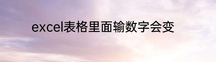 excel表格里面输数字会变