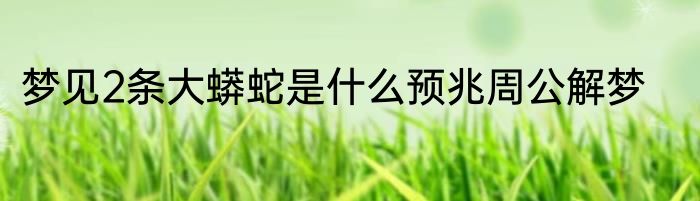 梦见2条大蟒蛇是什么预兆周公解梦